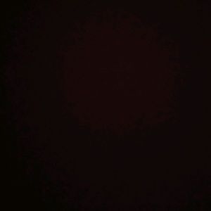 Meet your Posher, Jessie